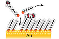 Illustration for "Self-assembled monolayers"